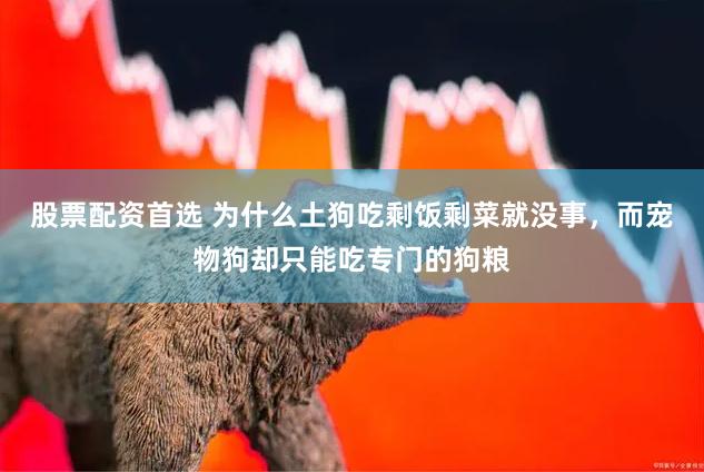 股票配资首选 为什么土狗吃剩饭剩菜就没事，而宠物狗却只能吃专门的狗粮