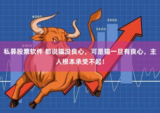 私募股票软件 都说猫没良心，可是猫一旦有良心，主人根本承受不起！