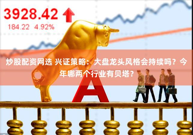 炒股配资网选 兴证策略：大盘龙头风格会持续吗？今年哪两个行业有贝塔？
