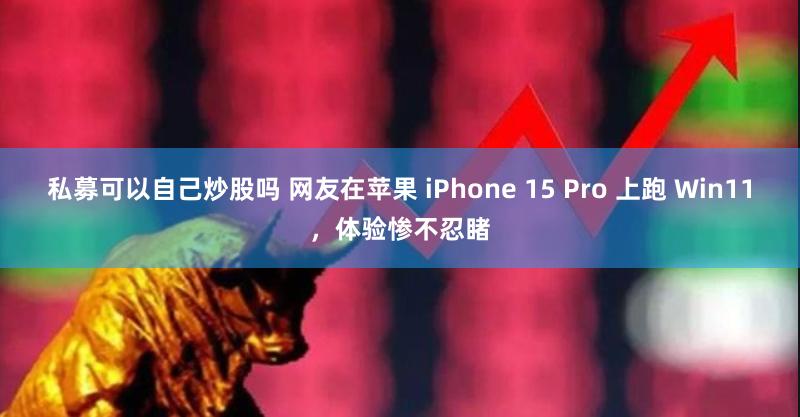 私募可以自己炒股吗 网友在苹果 iPhone 15 Pro 上跑 Win11，体验惨不忍睹