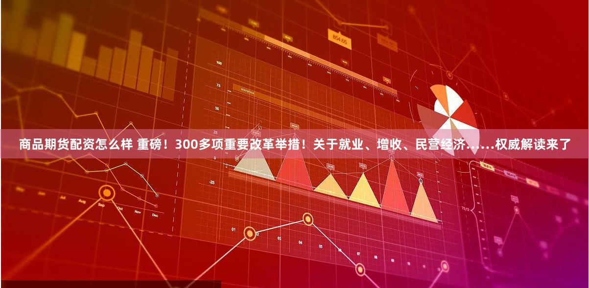 商品期货配资怎么样 重磅！300多项重要改革举措！关于就业、增收、民营经济……权威解读来了