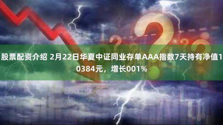 股票配资介绍 2月22日华夏中证同业存单AAA指数7天持有净值10384元，增长001%