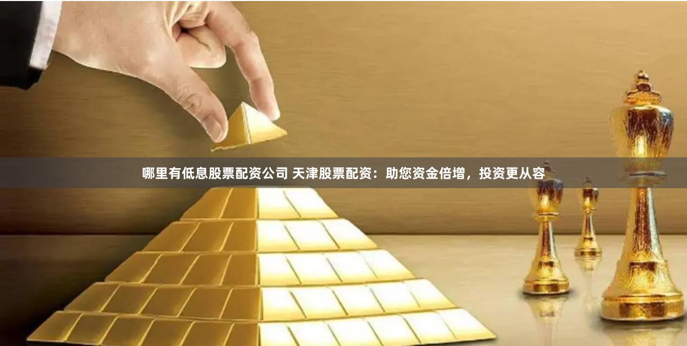 哪里有低息股票配资公司 天津股票配资：助您资金倍增，投资更从容