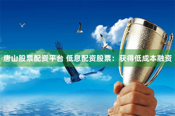 唐山股票配资平台 低息配资股票：获得低成本融资