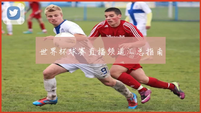 世界杯球赛直播频道汇总指南