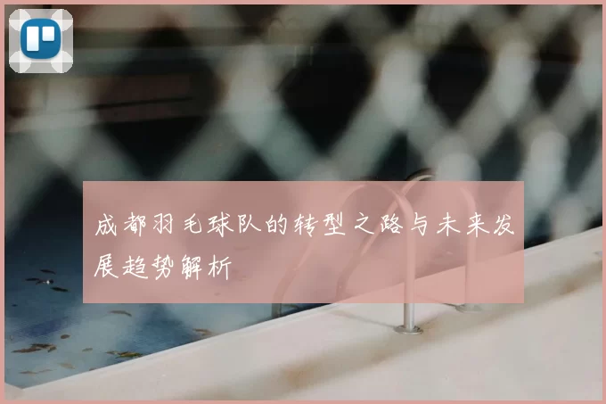 成都羽毛球队的转型之路与未来发展趋势解析