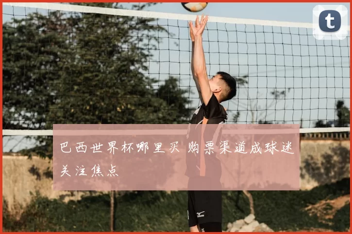 巴西世界杯哪里买 购票渠道成球迷关注焦点