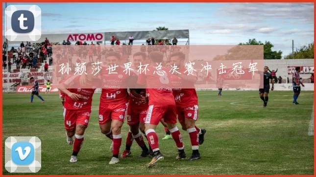 孙颖莎世界杯总决赛冲击冠军