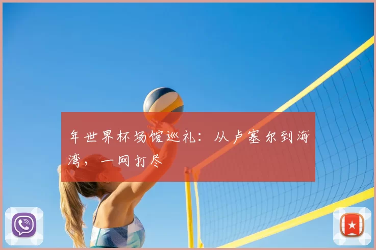 年世界杯场馆巡礼：从卢塞尔到海湾，一网打尽