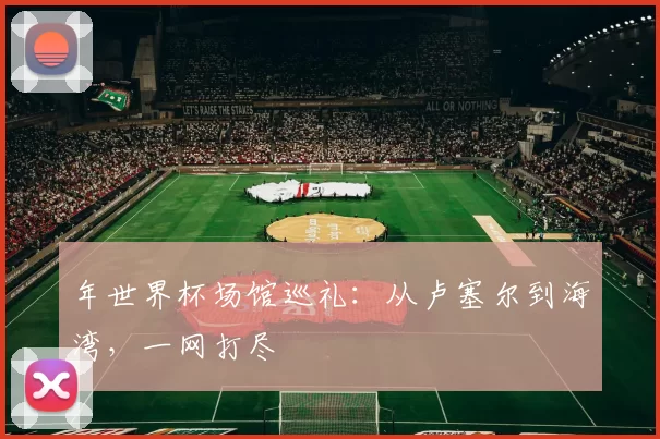 年世界杯场馆巡礼：从卢塞尔到海湾，一网打尽