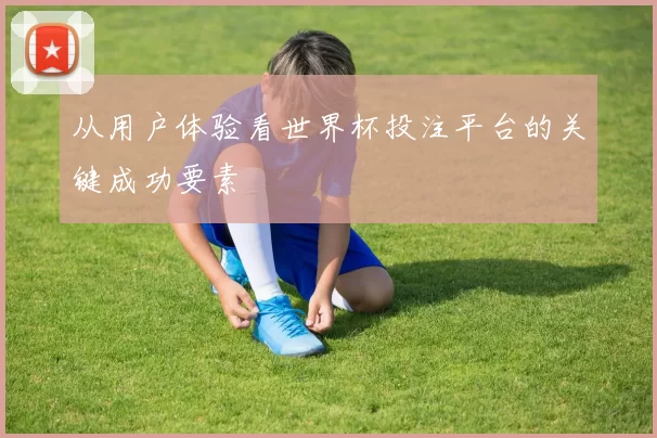 从用户体验看世界杯投注平台的关键成功要素