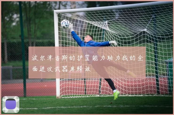 波尔津吉斯的护筐能力助力我的全面进攻武器库释放