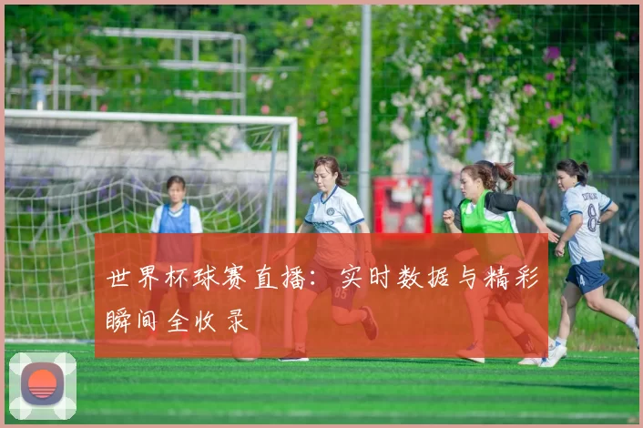 世界杯球赛直播：实时数据与精彩瞬间全收录