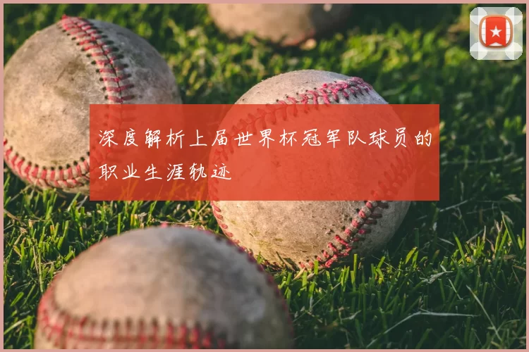 深度解析上届世界杯冠军队球员的职业生涯轨迹