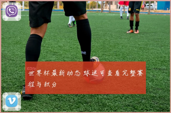 世界杯最新动态 球迷可查看完整赛程与积分