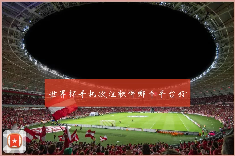 世界杯手机投注软件哪个平台好