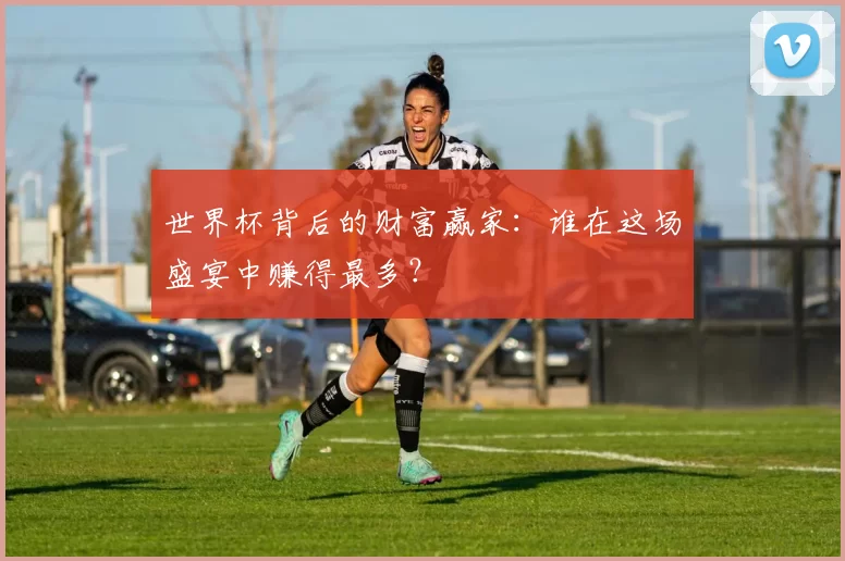 世界杯背后的财富赢家：谁在这场盛宴中赚得最多？