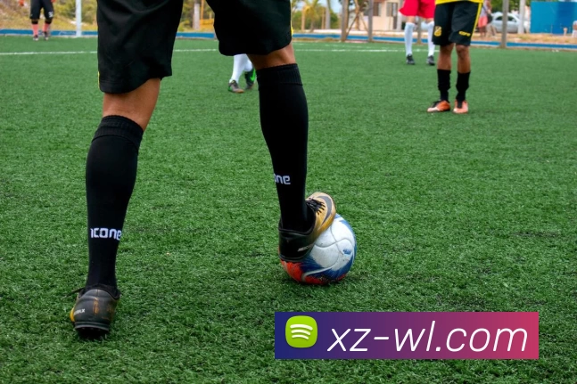 雅博appAPP 封面图